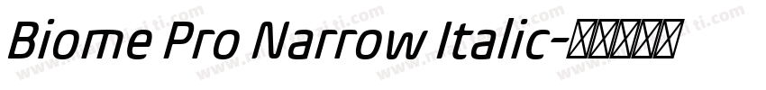 Biome Pro Narrow Italic字体转换